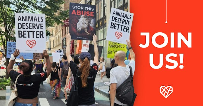 The Humane League