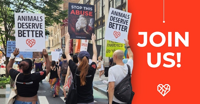 The Humane League