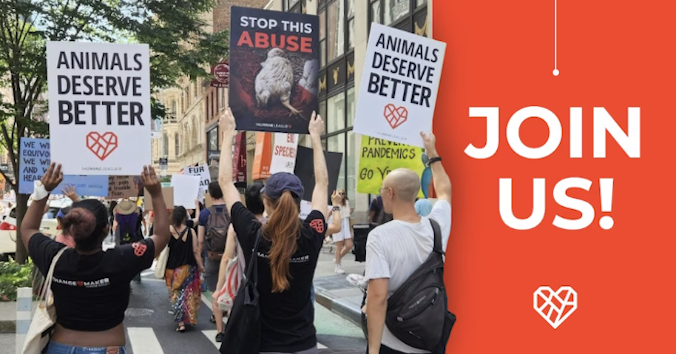The Humane League