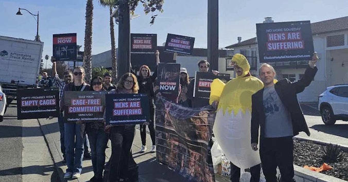 The Humane League