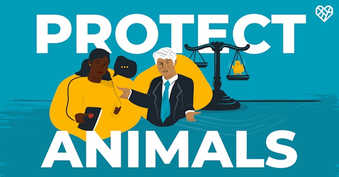 The Humane League