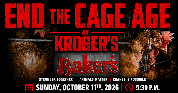The Humane League