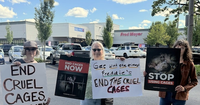 The Humane League