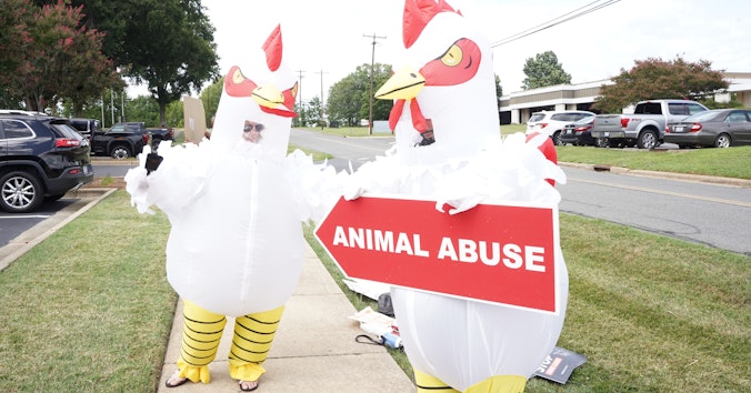 The Humane League