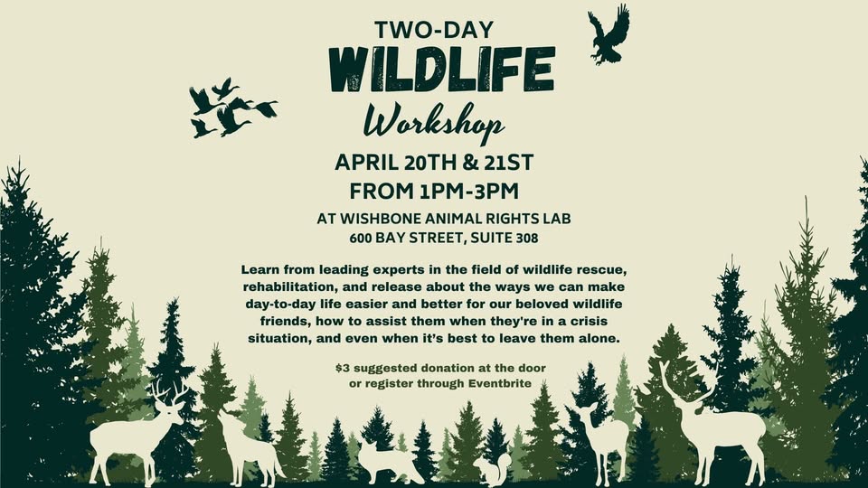 Wishbone Animal Rights Lab