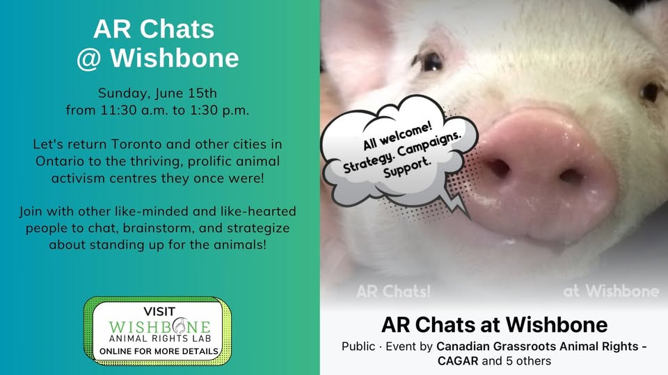 Wishbone Animal Rights Lab