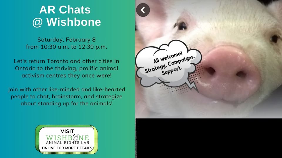 Wishbone Animal Rights Lab