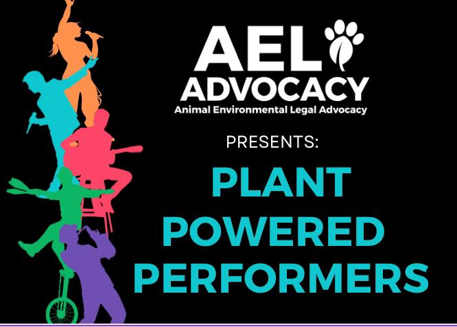 AEL Advocacy