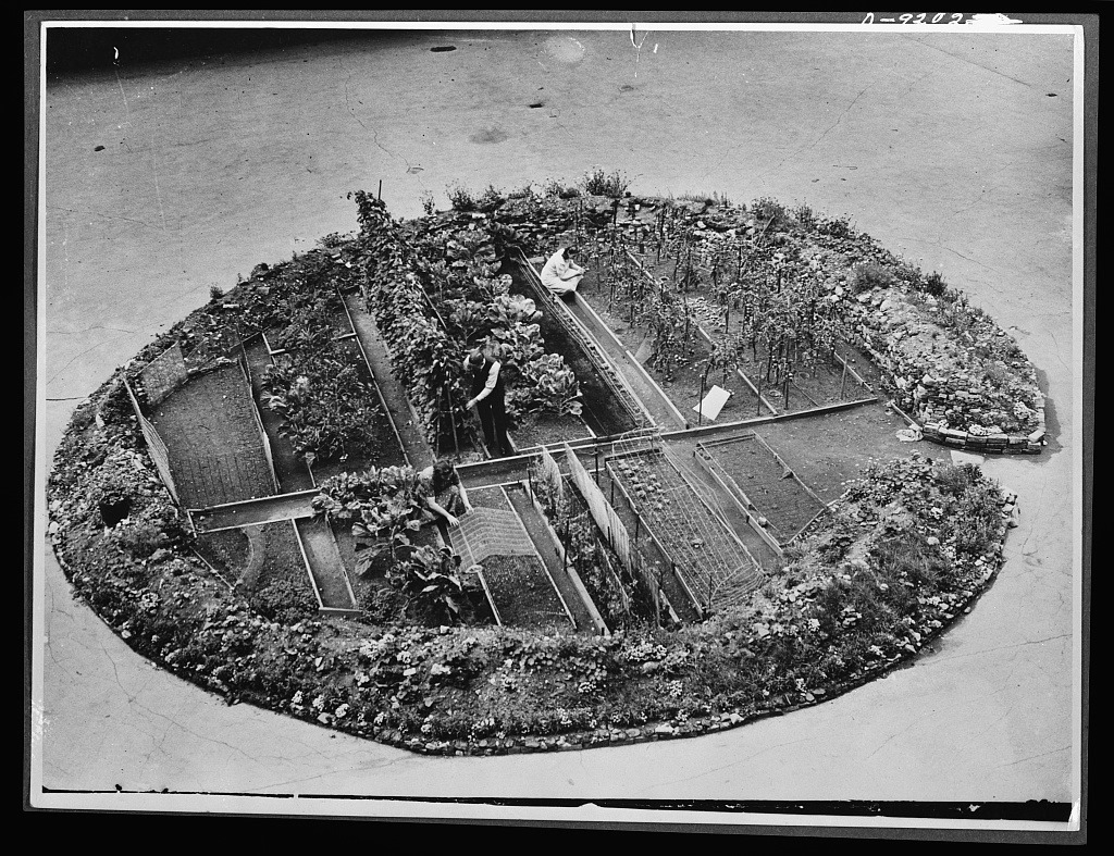 VegMichigan