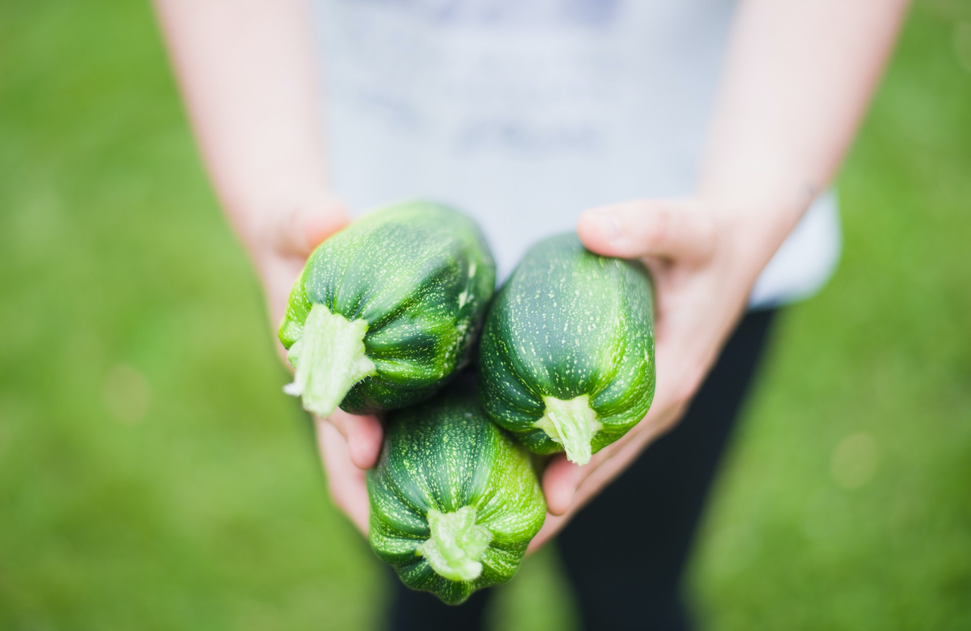 VegMichigan