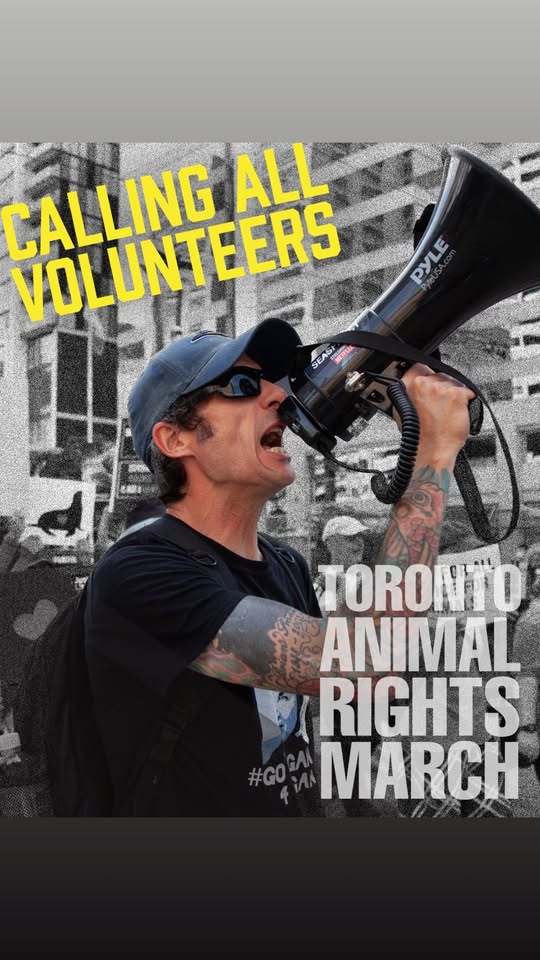 Toronto Animal Rights March