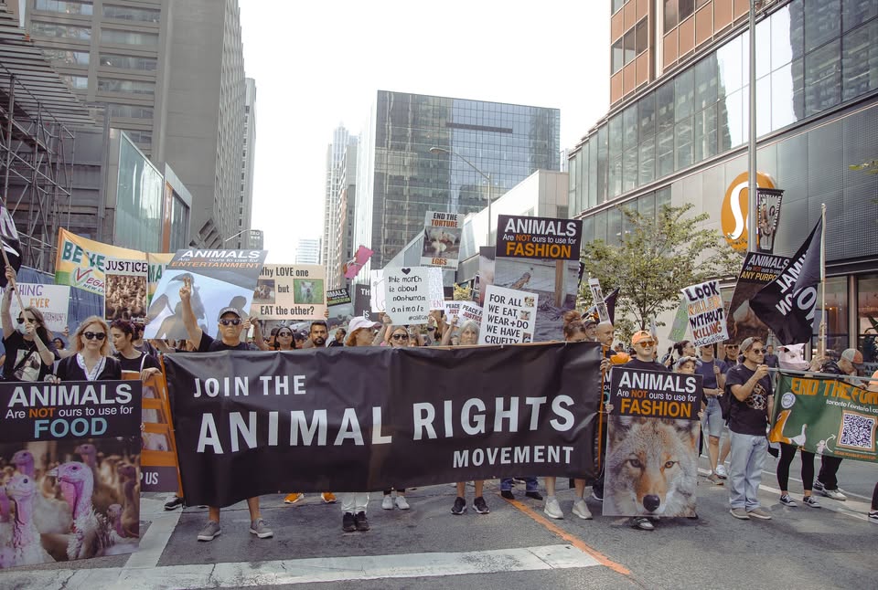 Toronto Animal Rights March