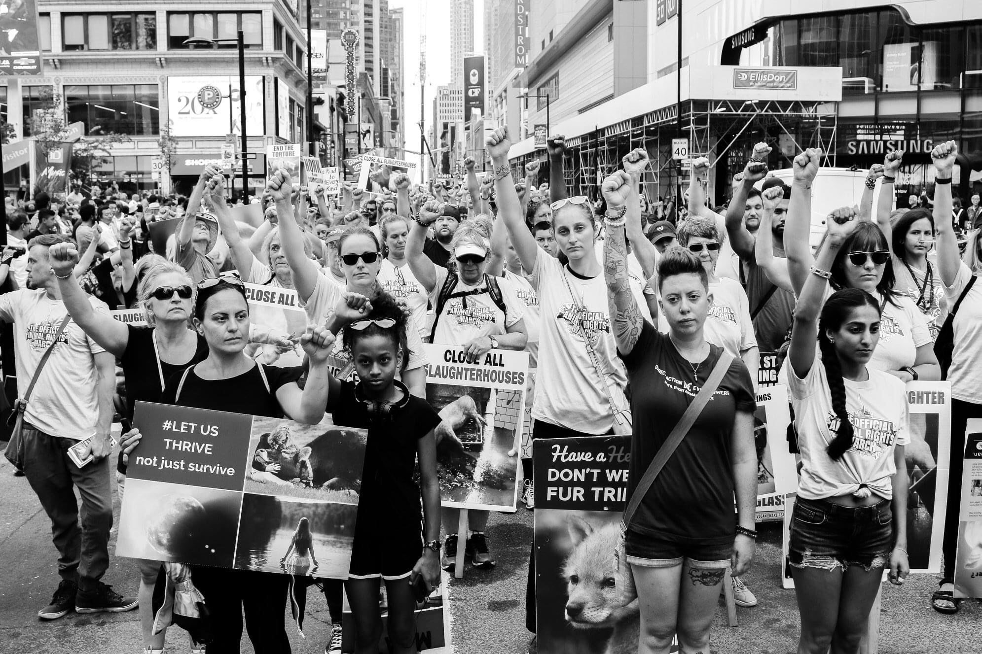 Toronto Animal Rights March