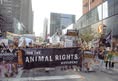 Toronto Animal Rights March