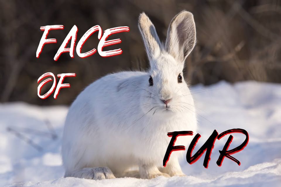 New Hampshire Animal Rights League