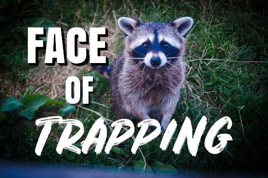 New Hampshire Animal Rights League