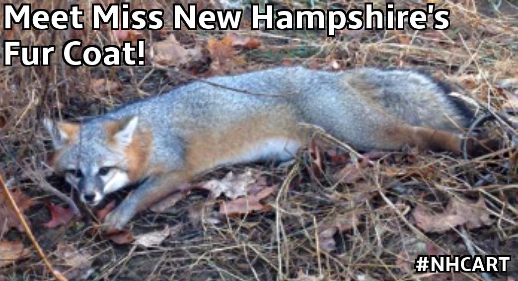 New Hampshire Animal Rights League
