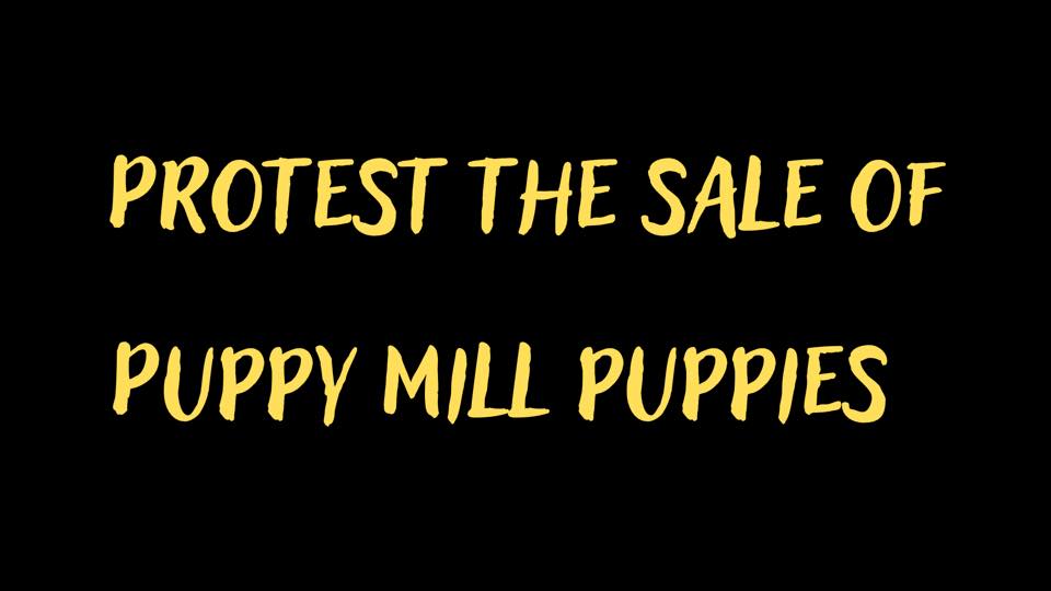 New Hampshire Animal Rights League