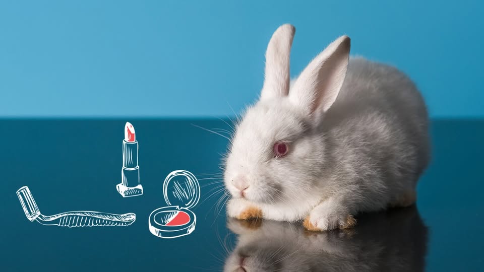 New Hampshire Animal Rights League