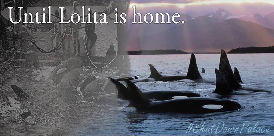 New Hampshire Animal Rights League