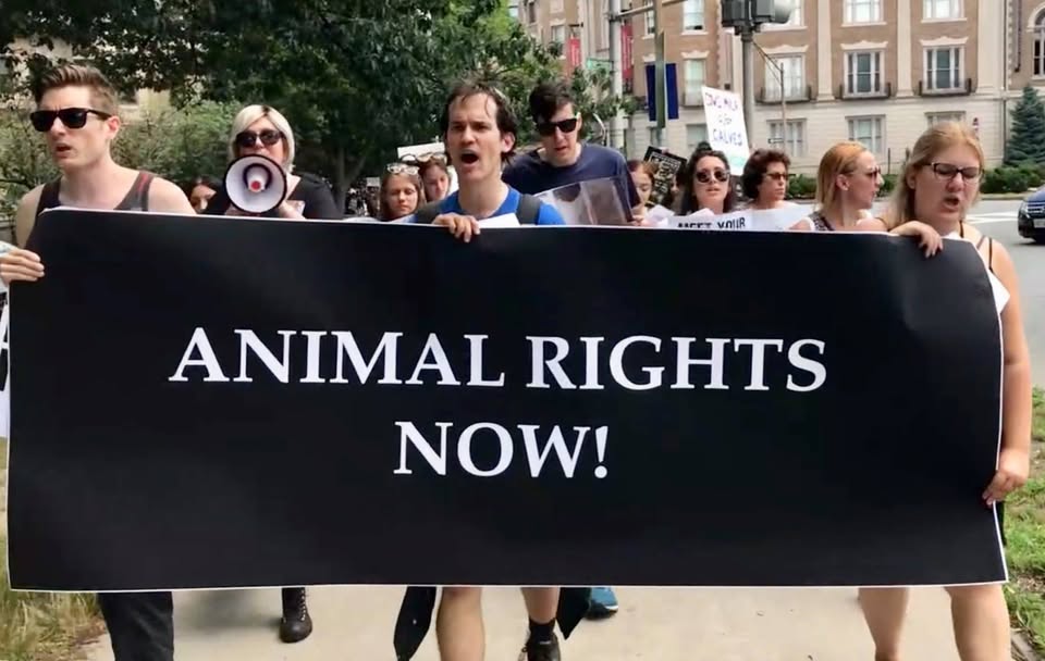 New Hampshire Animal Rights League
