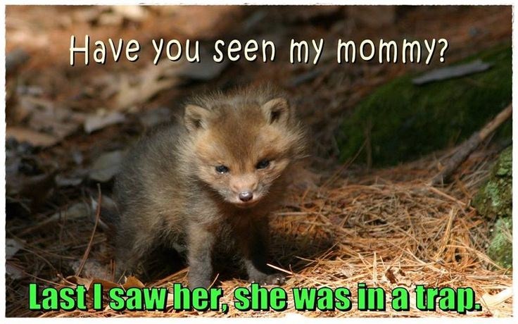 New Hampshire Animal Rights League