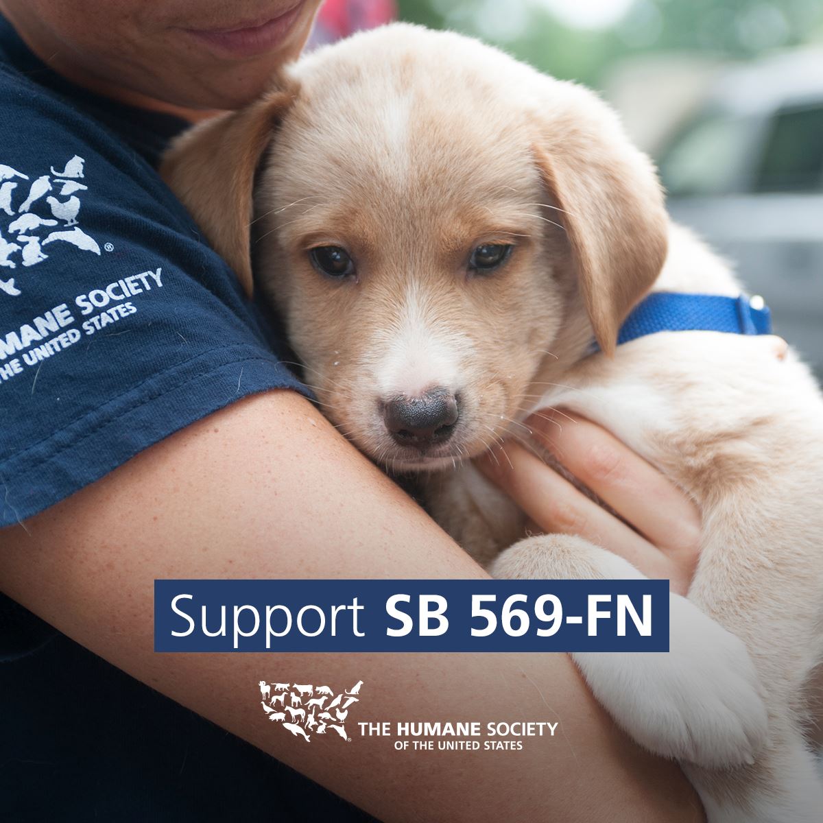 New Hampshire Animal Rights League