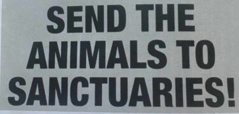 New Hampshire Animal Rights League