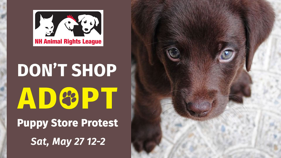 New Hampshire Animal Rights League