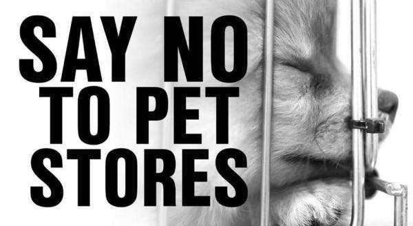 New Hampshire Animal Rights League