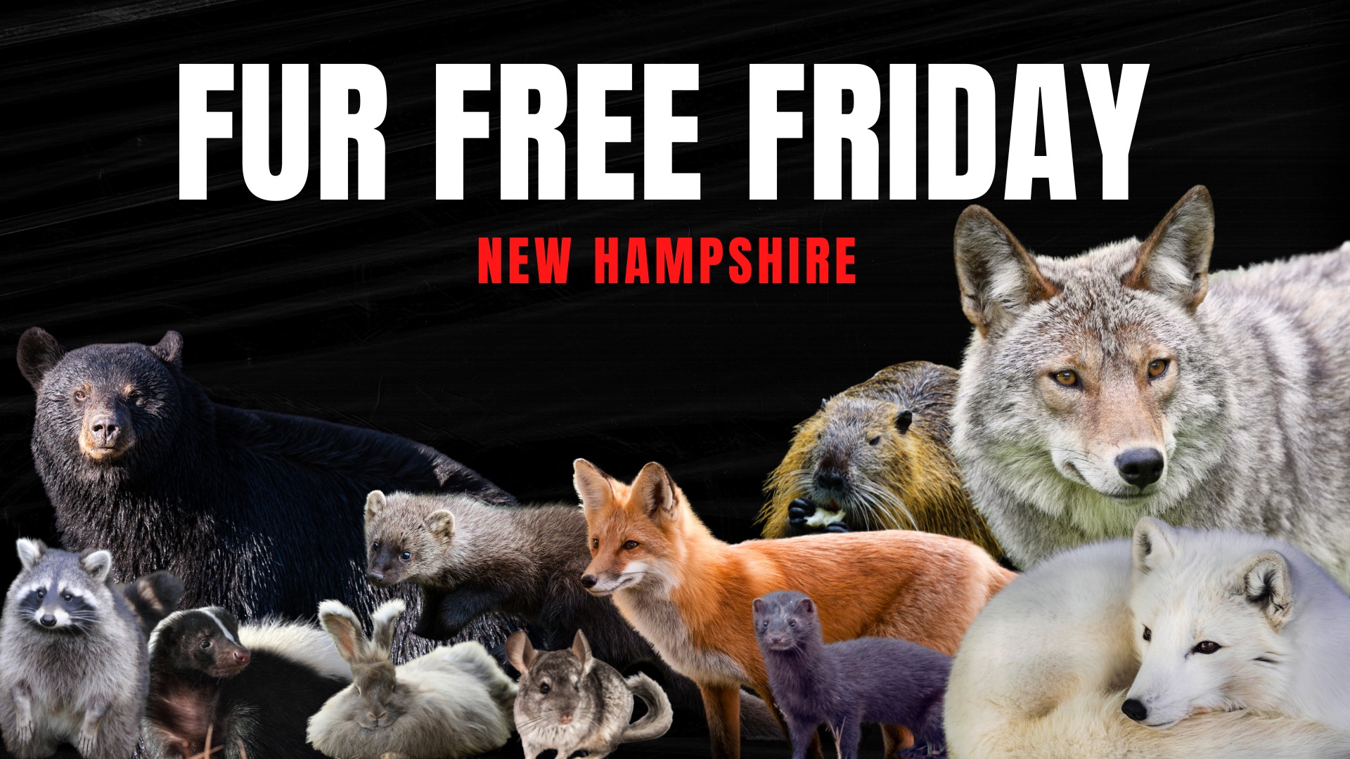 New Hampshire Animal Rights League