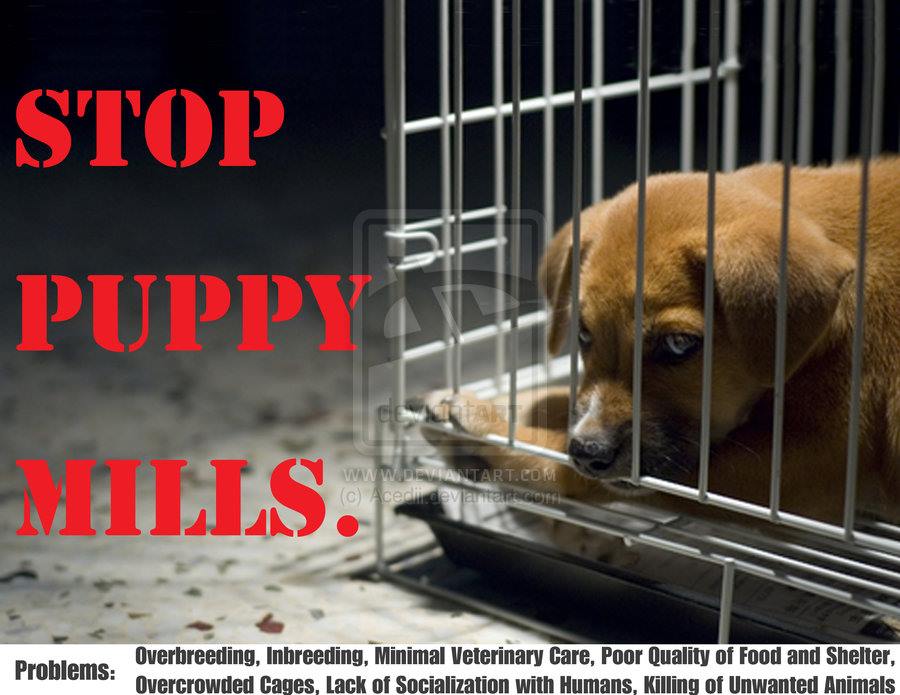 New Hampshire Animal Rights League