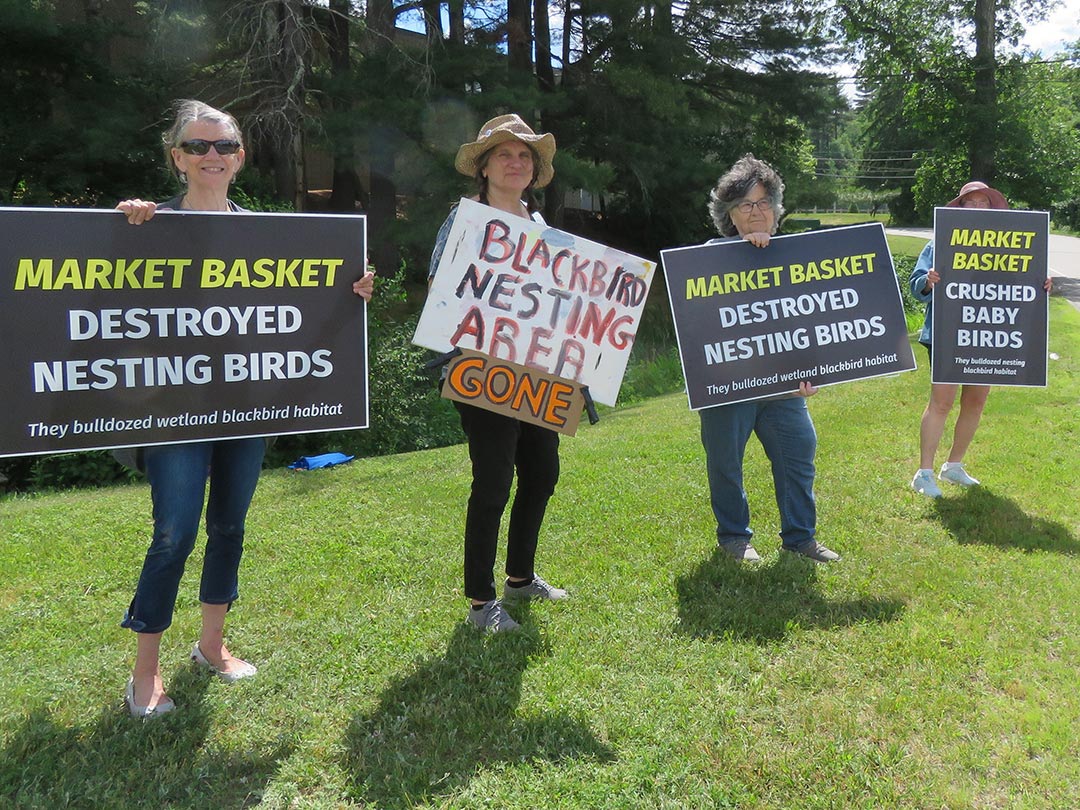 New Hampshire Animal Rights League