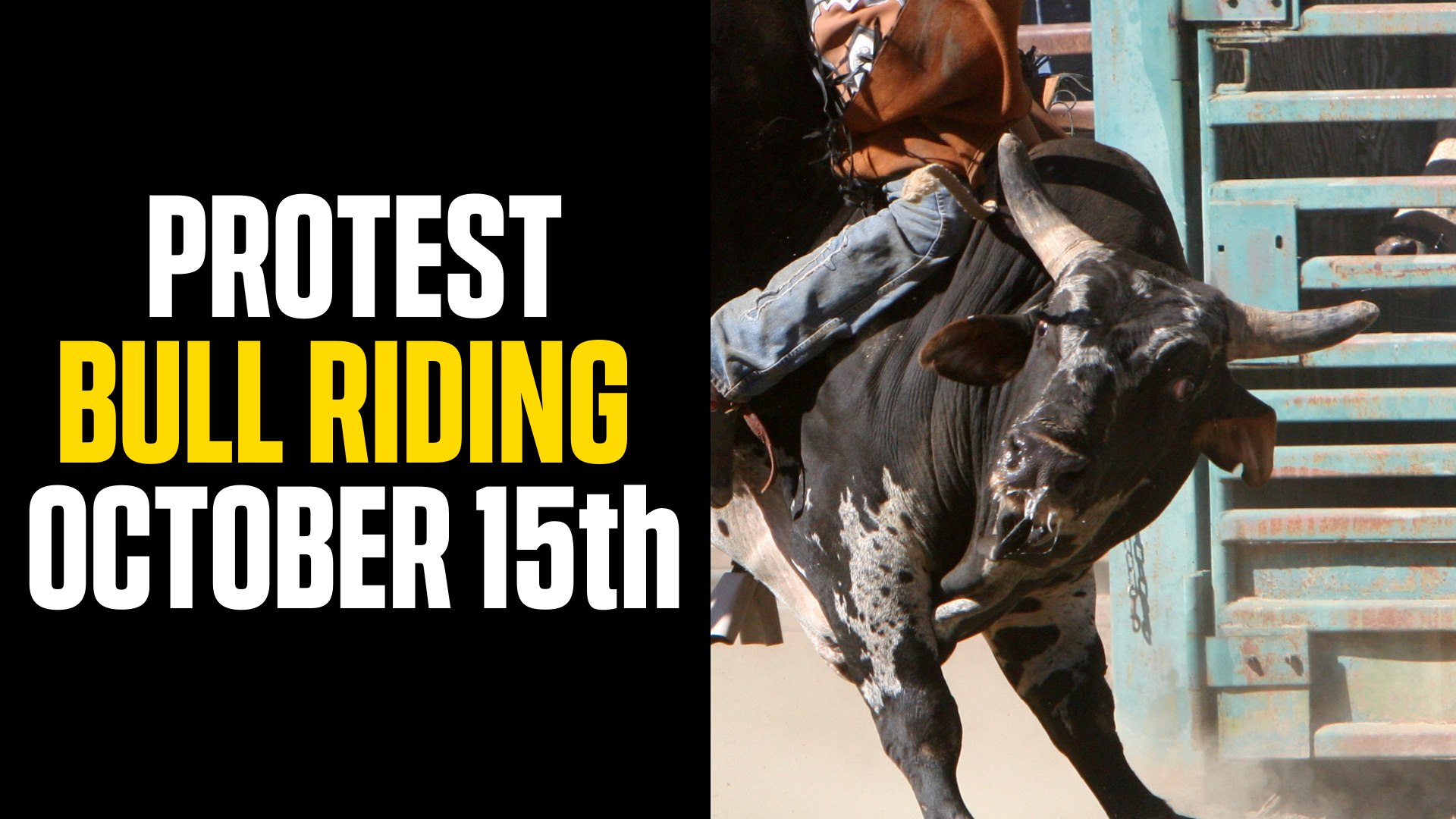 New Hampshire Animal Rights League