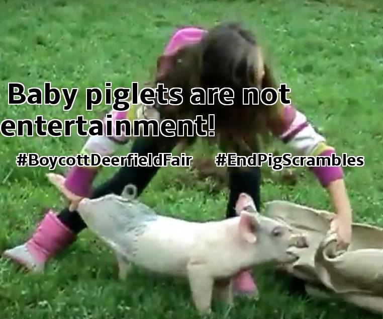 New Hampshire Animal Rights League