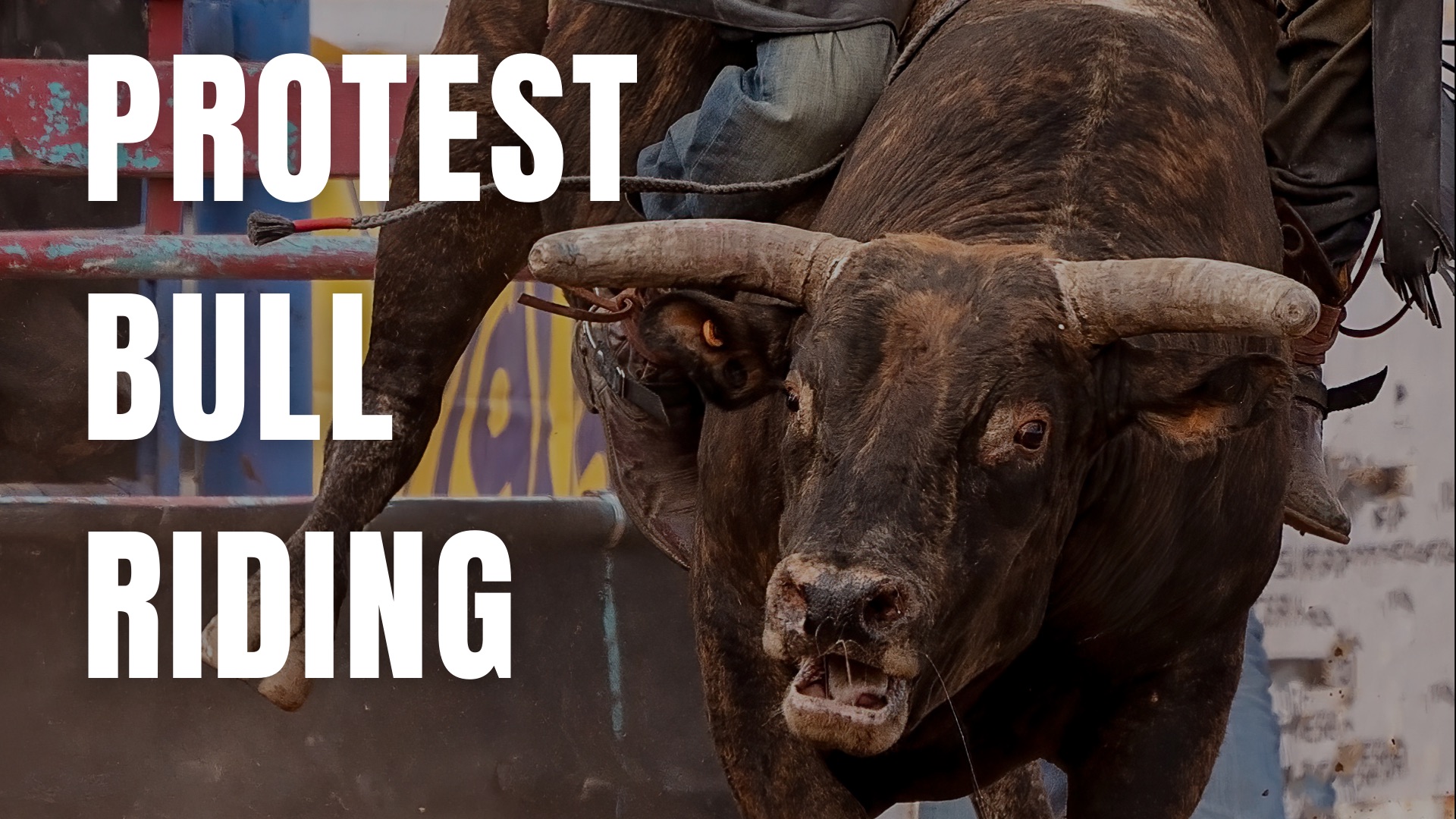 New Hampshire Animal Rights League