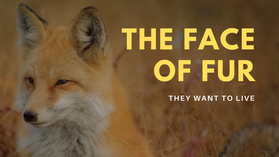 New Hampshire Animal Rights League