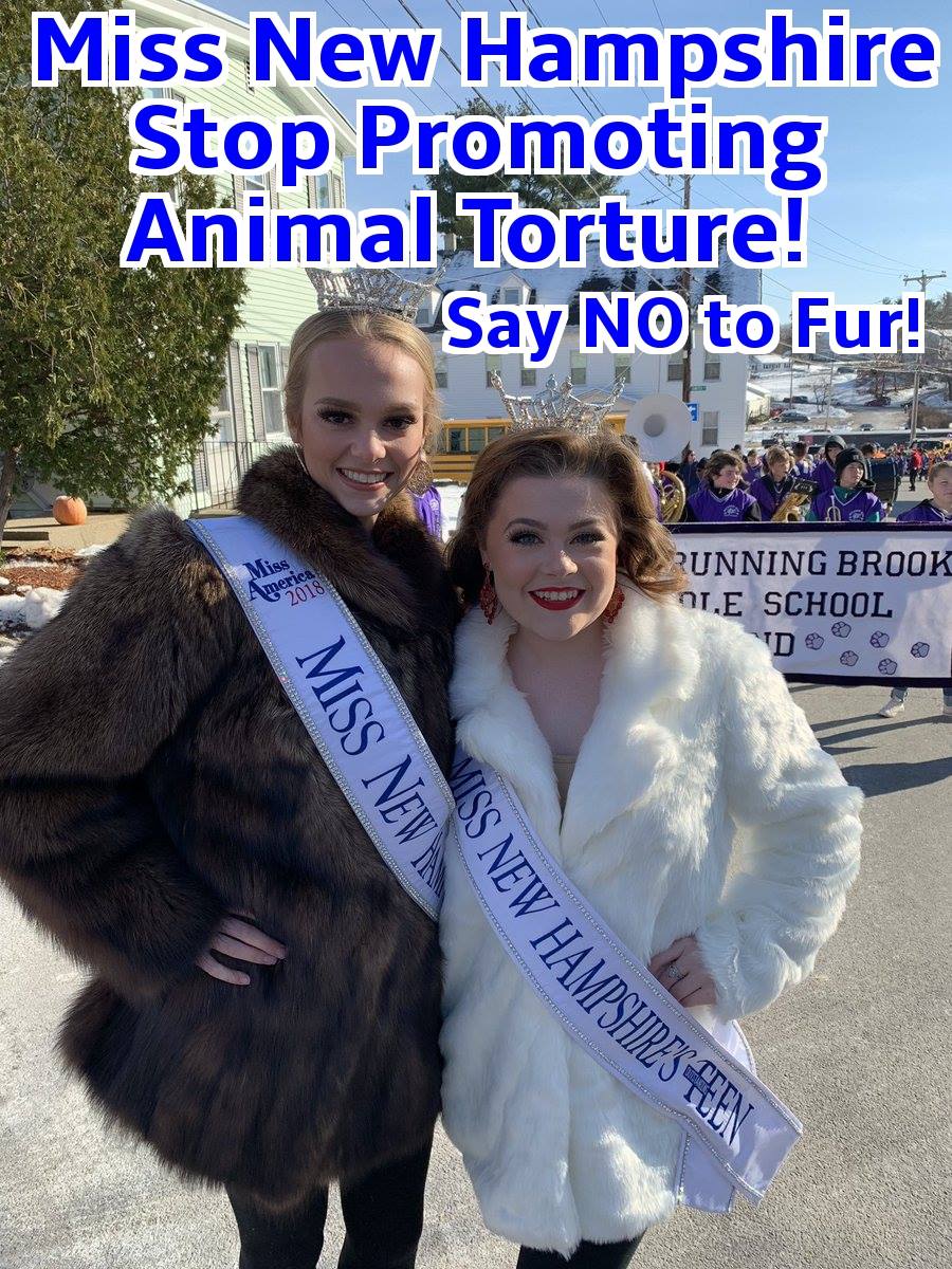 New Hampshire Animal Rights League