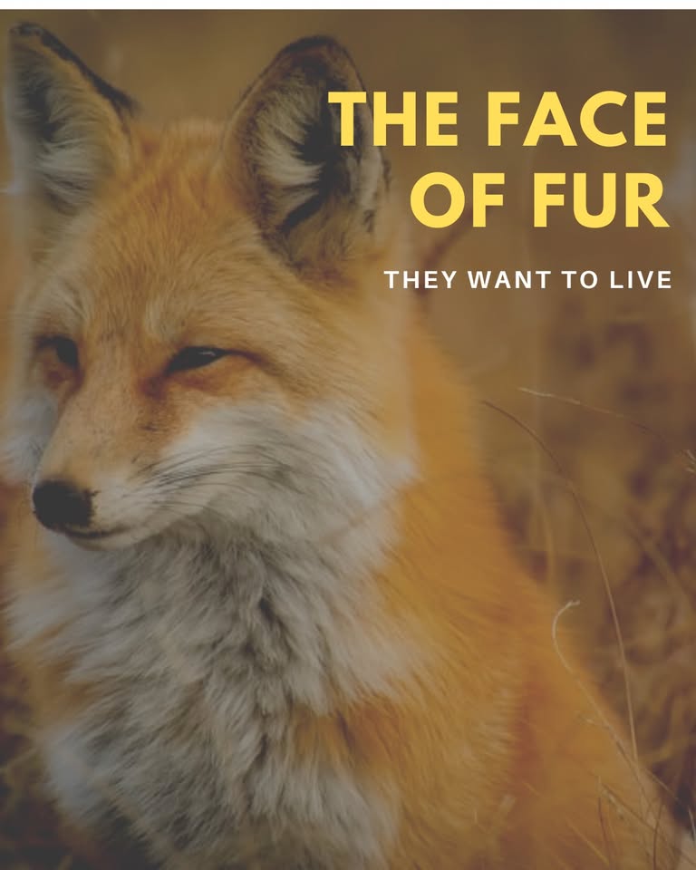 New Hampshire Animal Rights League