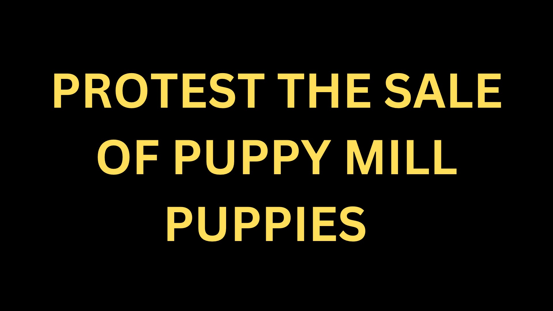 New Hampshire Animal Rights League