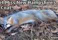 New Hampshire Animal Rights League