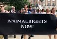 New Hampshire Animal Rights League