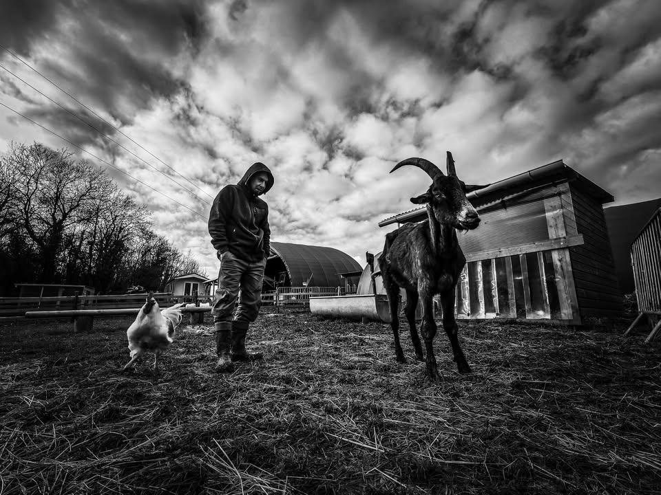 269 Libération Animale