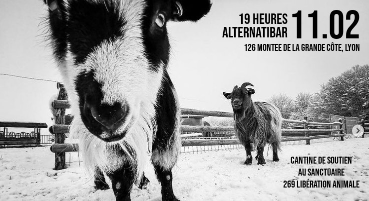 269 Libération Animale