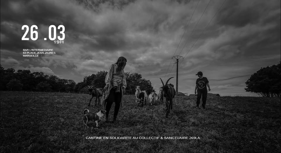 269 Libération Animale