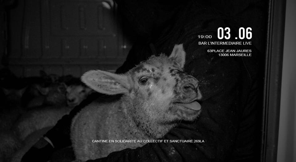 269 Libération Animale