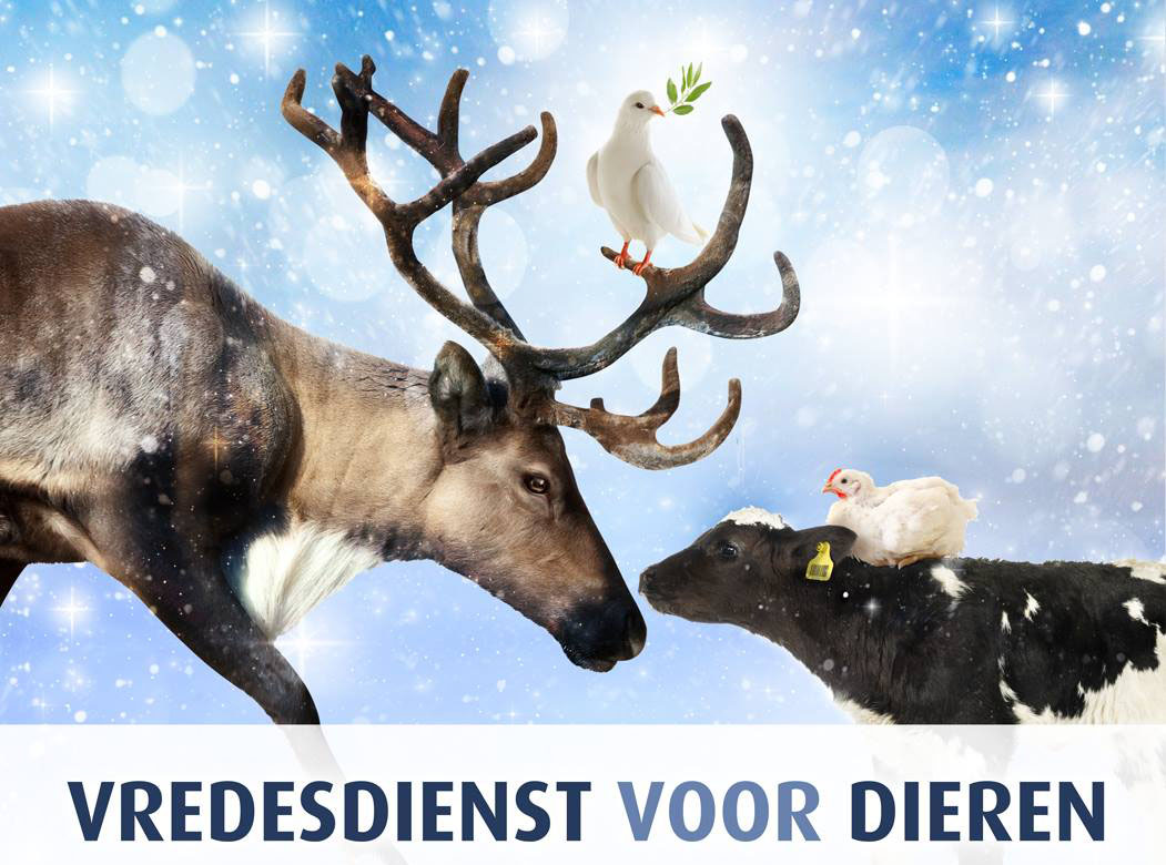 Comité Dierennoodhulp