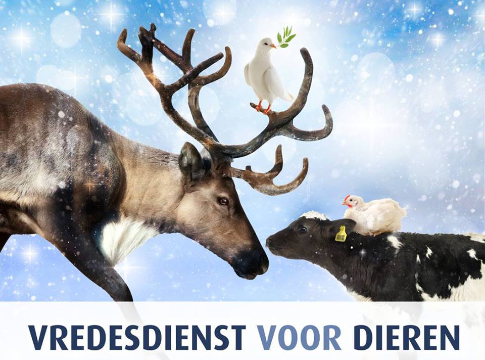 Comité Dierennoodhulp