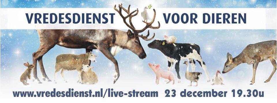 Comité Dierennoodhulp