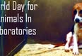 World Day for Animals in Laboratories